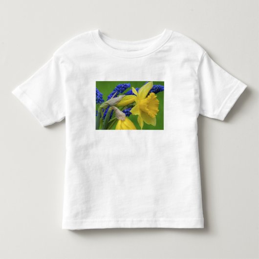 スイセンとヒヤシンスの花の詳細 クレジット トドラーTシャツ (正面)