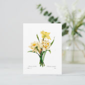 スイセンのgouani ポストカード (スタンド正面)