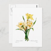 スイセンのgouani ポストカード (正面/裏面)