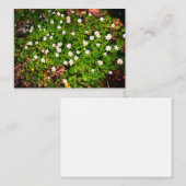 スイセンソウ、かわいい白い春の花 ノートカード (正面/裏面)