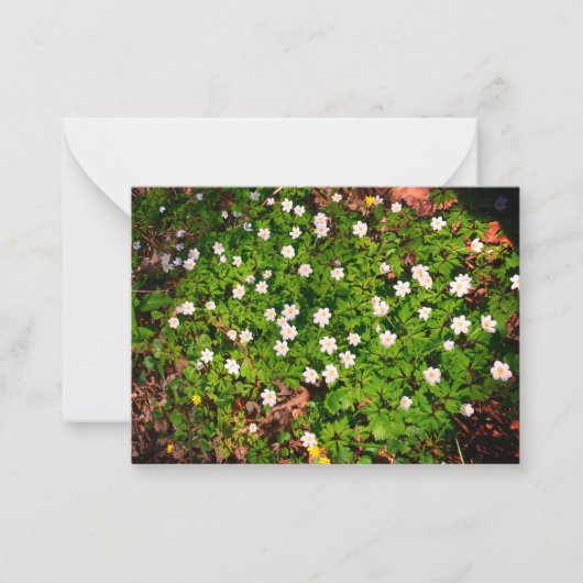 スイセンソウ、かわいい白い春の花 ノートカード (正面)