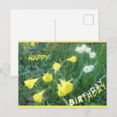 スイセン アークティックベル お誕生日おめでとう ポストカード (正面/裏面)