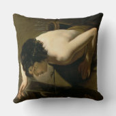 スイセン クッション (裏面)