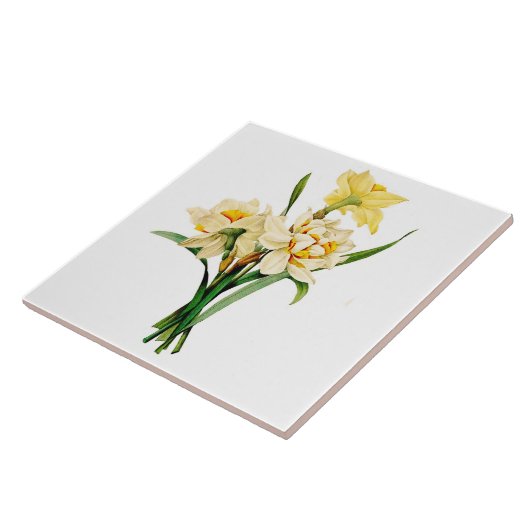 スイセン タイル (側面)