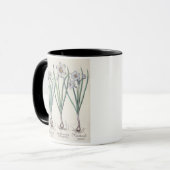 スイセン: 1.Narcissus maximusのmedioのpurpureus; 2.N マグカップ (正面左)