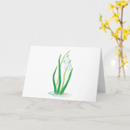 スイセン(Galanthus nivalis)早春の花 カード