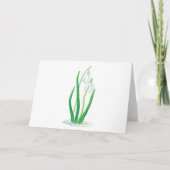 スイセン（Galanthus nivalis）早春の花 カード (正面)