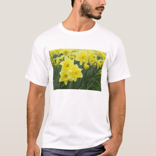 スイセン RF) Tシャツ (正面)