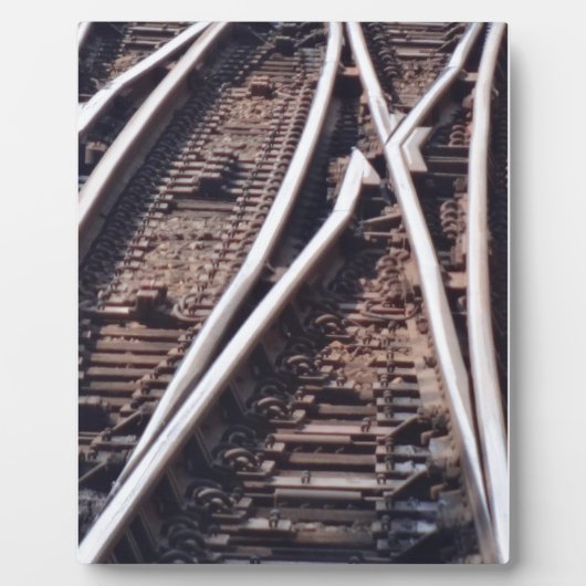 スイッチ フォトプラーク (正面)