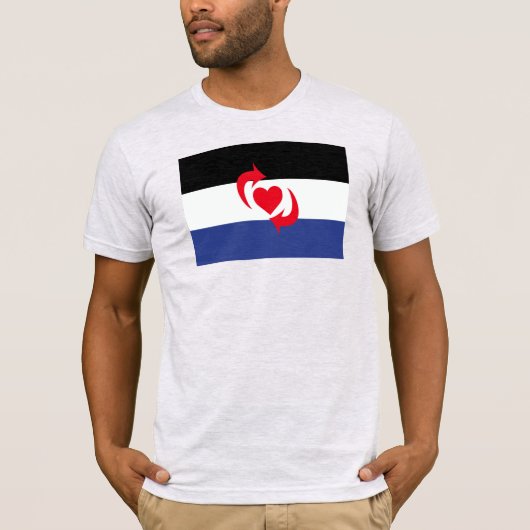 スイッチ プライド フラッグ Tシャツ (正面)