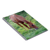 スイバの去勢 ノートブック (右側)