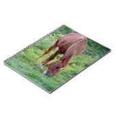 スイバの去勢 ノートブック (左側)