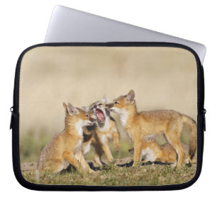 スイフトギツネ (Vulpes macrotis)巣穴で幼獣 ラップトップスリーブ