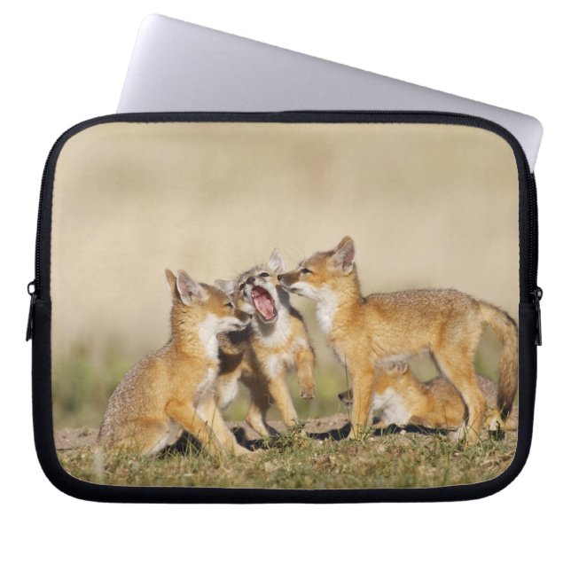 スイフトギツネ (Vulpes macrotis)巣穴で幼獣 ラップトップスリーブ (正面)