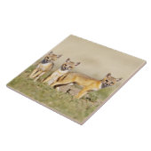スイフトギツネ (Vulpes macrotis) 巣穴で幼獣, 3 タイル (側面)