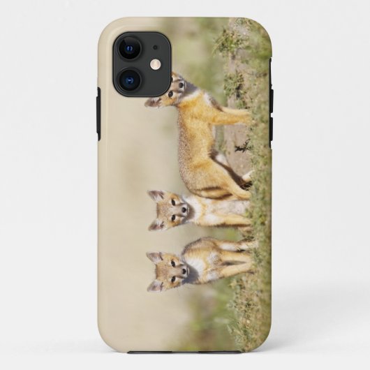 スイフトギツネ (Vulpes macrotis) 巣穴で幼獣, 3 Case-Mate iPhoneケース (裏面)