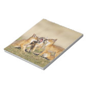 スイフトギツネ (Vulpes macrotis)巣穴の若い個体、 ノートパッド (回転)