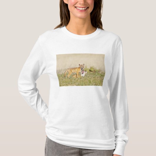スイフトギツネ (Vulpes macrotis)巣穴の若い個体 4 Tシャツ (正面)