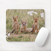 スイフトギツネ (Vulpes velox) 子連れのメスが マウスパッド (マウス)