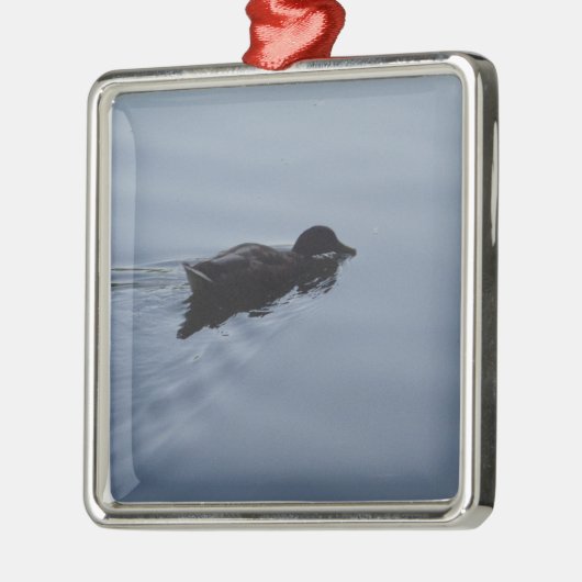 スイミングアヒルの湖、自然鳥野生動物の青 メタルオーナメント (左)