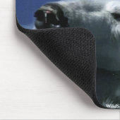 スイミングアークティックポーラベア&オーロラ マウスパッド (コーナー)