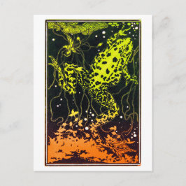 スイミングカエルbyジュリー・デ・グラグヴィンテージアート ポストカード