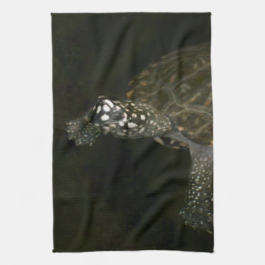 スイミングカメ キッチンタオル (縦)