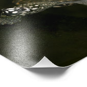 スイミングカメ フォトプリント            (角)