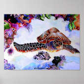 スイミングカメ ポスター (正面)