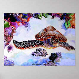 スイミングカメ ポスター