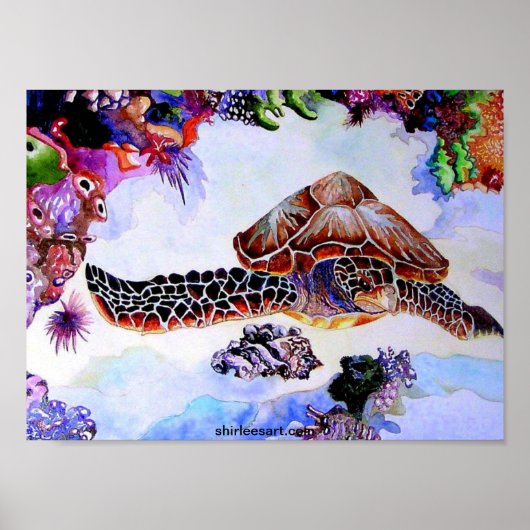 スイミングカメ ポスター (正面)