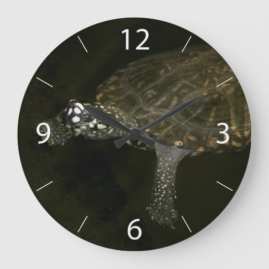 スイミングカメ ラージ壁時計 (正面)