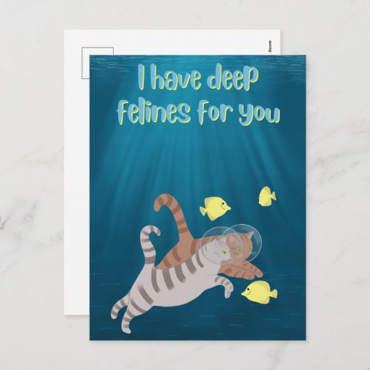 スイミングキャッツおもしろい海バレンタインデー シーズンポストカード (正面/裏面)