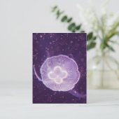 スイミングクラゲ ポストカード (スタンド正面)