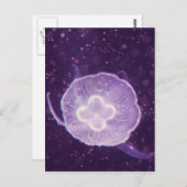 スイミングクラゲ ポストカード (正面/裏面)