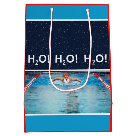 スイミングクリスマスミディアム抱き枕 ミディアムペーパーバッグ (裏面)