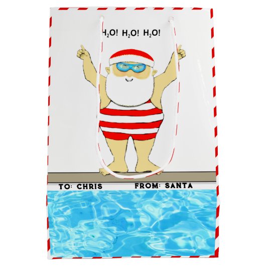 スイミングクリスマスミディアム抱き枕 ミディアムペーパーバッグ (裏面)