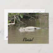 スイミングゲーター ポストカード (正面/裏面)