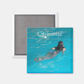 スイミングサンダー_コーブ マグネット (正面/裏面)