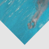 スイミングサンダー_コーブ 薄葉紙 (詳細)