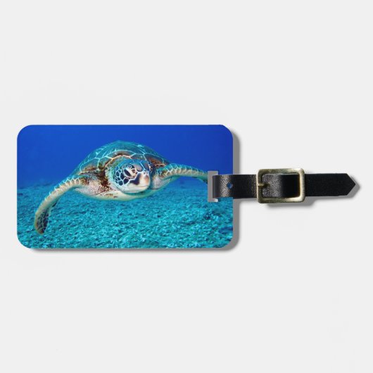 スイミングシーガメ ラゲッジタグ (正面横)