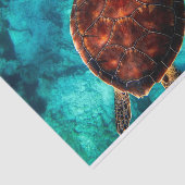 スイミングシータートルインブルー海水 薄葉紙 (詳細)