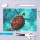 スイミングシータートルインブルー海水 薄葉紙 (クラフト)