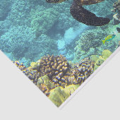 スイミングシータートルインブルー海 薄葉紙 (詳細)