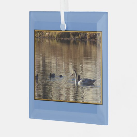 スイミングスワンダックススクエアガラスオーナメント ガラスオーナメント (正面左)