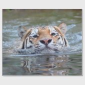 スイミングタイガー20150901 ラッピングペーパー (フラット)