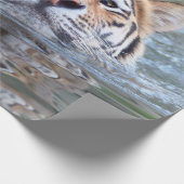 スイミングタイガー20150901 ラッピングペーパー (角)