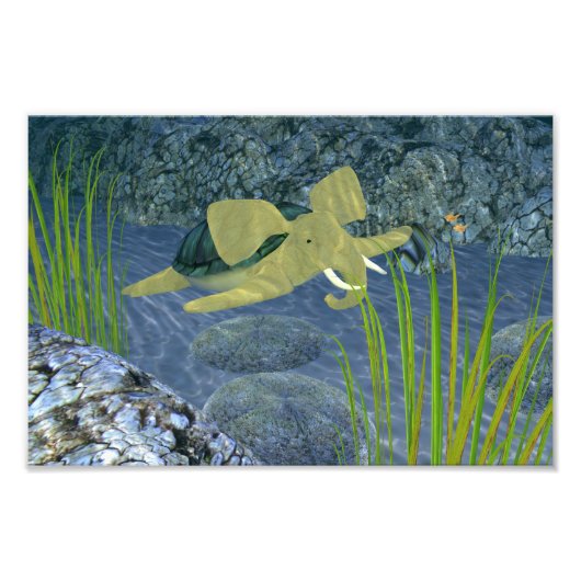 スイミングターファント フォトプリント            (正面)