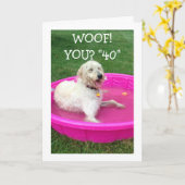 スイミングドッグは、「あなた」は40歳で、彼ではなく幸せだと言っている。 カード (黄色い花)