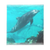 スイミングドルフィンメモ帳 ノートパッド (正面)